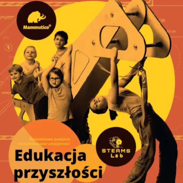 Edukacja STEAMS z klockami Mammutico